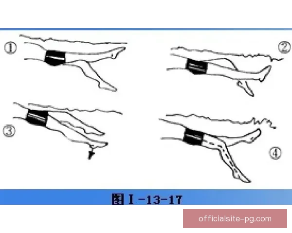 仰泳姿势技巧详解及训练方法分享