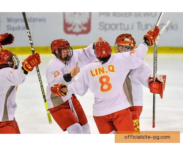 全球冰球巅峰对决：激情燃烧的锦标赛