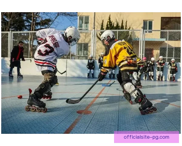 冰球运动的魅力与战术技巧展示