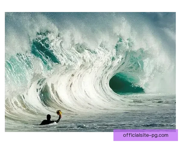 冲浪数据分析：解析海浪背后的规律与趋势