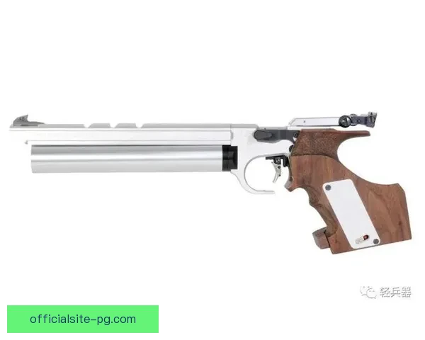 射击数据统计与趋势分析：洞察射击运动发展的关键指标