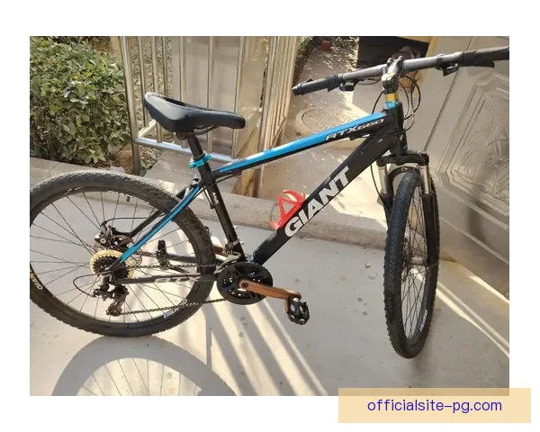 山地骑行：全面解读山地车规则及技术要点