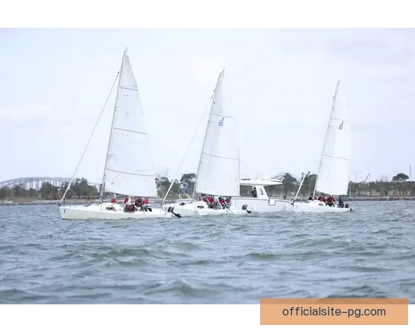 帆船赛事预测：探讨未来帆船比赛的发展趋势和参赛队伍的实力对比