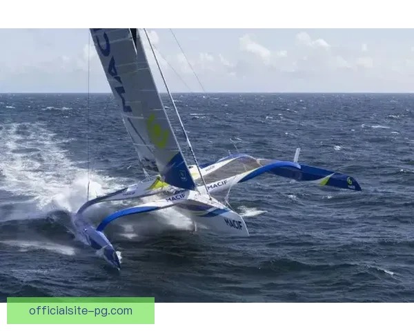 帆船赛事实时比分快报及时更新