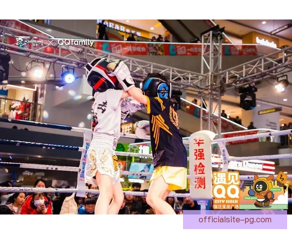 拳击界盛事：巅峰对决，无敌之战