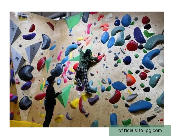 攀岩高校锦标赛：挑战新高度，争夺荣耀