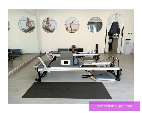 深度剖析普拉提数据分析：全方位解密技术应用与商业实践