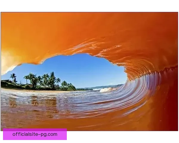 激浪潮涌：风暴下的冲浪直播颠覆者