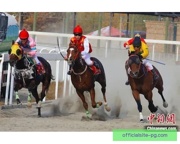 激情角逐！终极摔跤杯赛火爆开幕