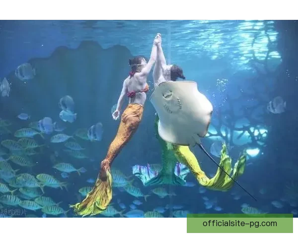 精湛技艺，水中芭蕾：探秘跳水高手的绝技