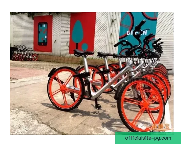 自行车对战分析：战略技巧与竞争策略探讨