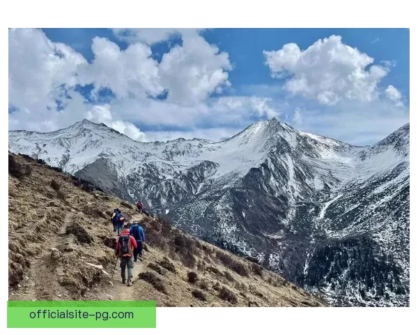 风雪挑战，速度之争