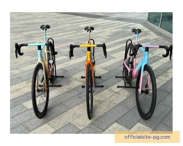 骑行风云：探寻自行车锦标赛的无限魅力