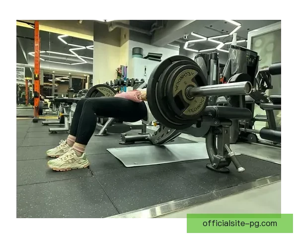 高效健身教学视频分享盘点